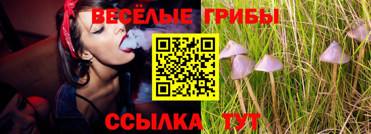 Учалы  Галлюциногенные грибы мицелий  Вход с VPN  Галлюциногенные грибы GOLDEN TEACHER 